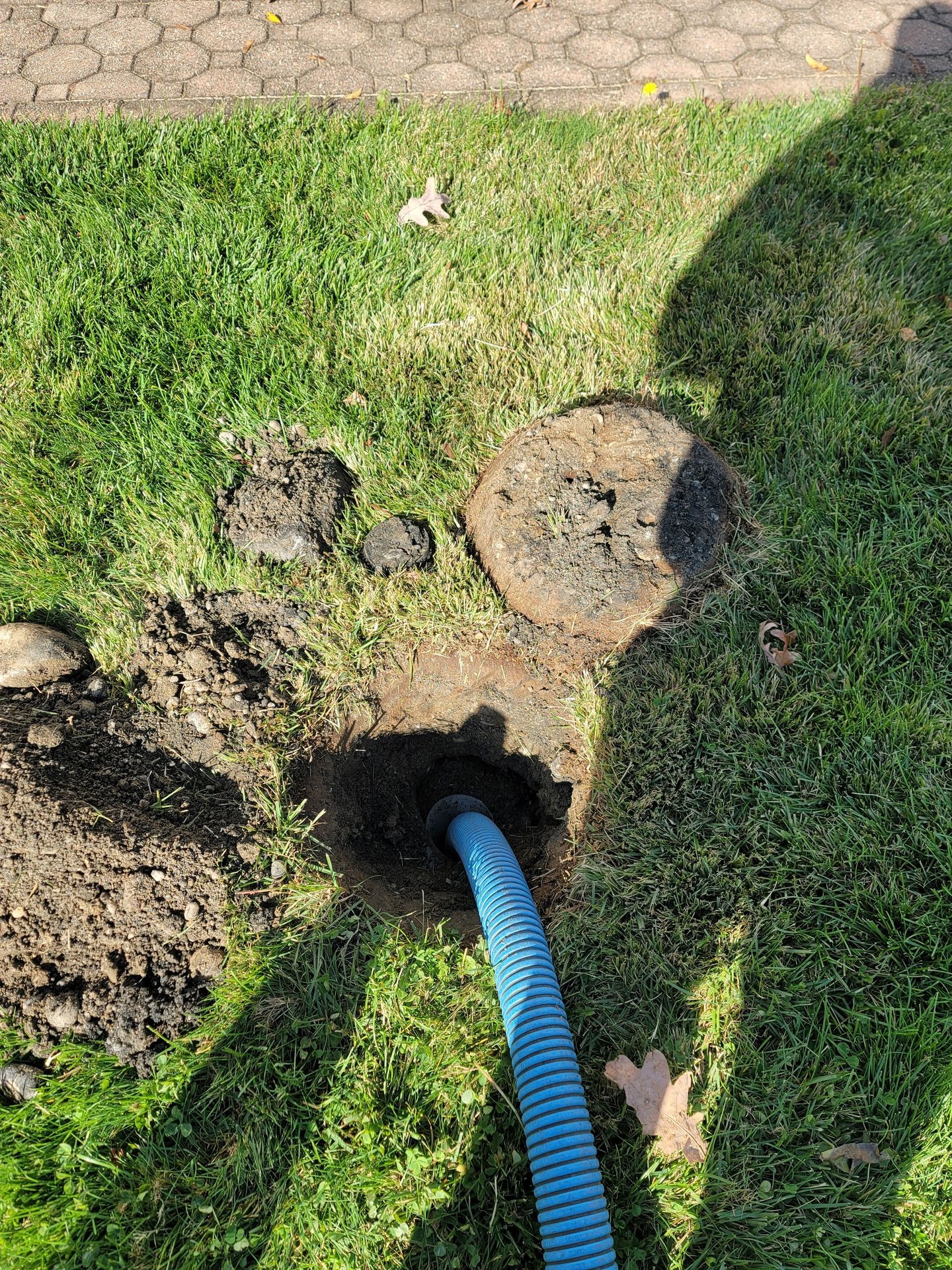 Blue hose inserted into a small hole in a grassy area next to a dirt patch.