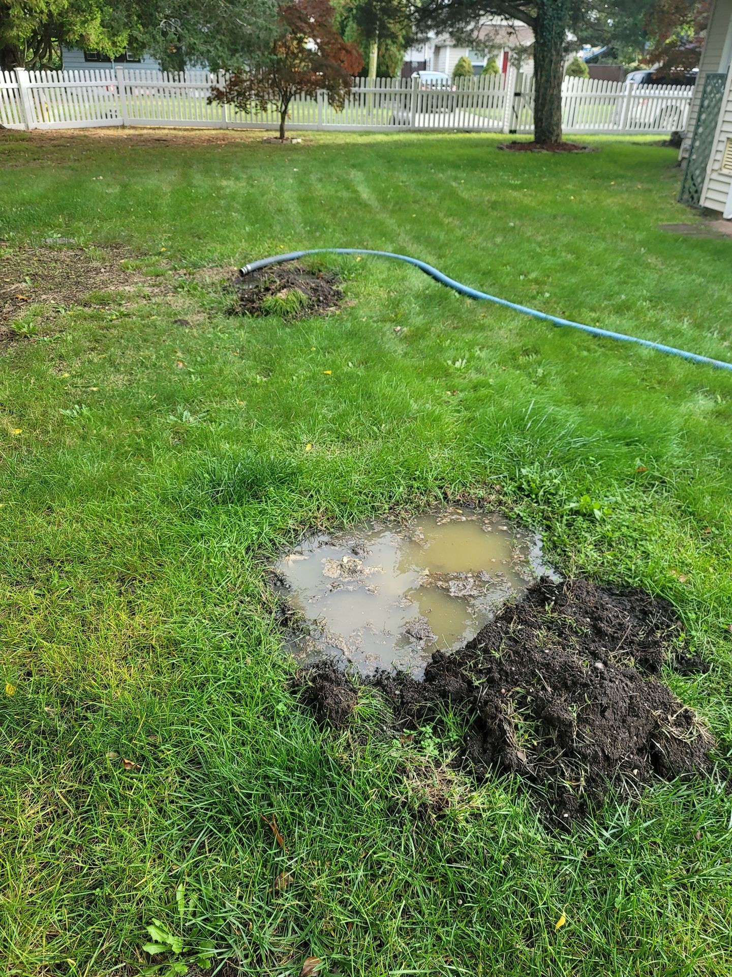 Puddle of muddy water on a grassy lawn next to upturned soil and a blue hose.